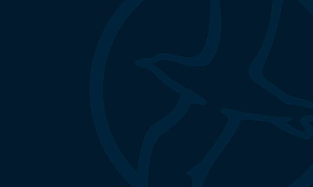 Badmöbel Calidris Katalog Dansani_Seite_01